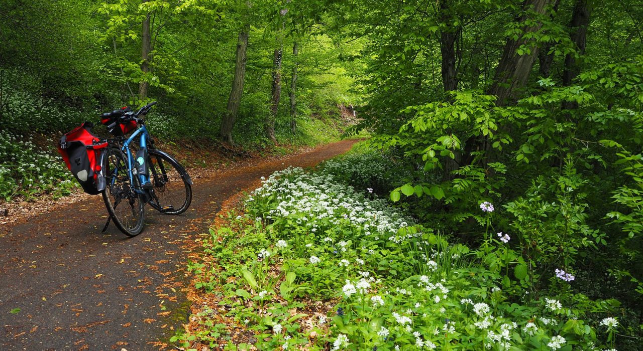 Orfűi kerékpárút; kép forrása: aktivmagyarorszag.hu